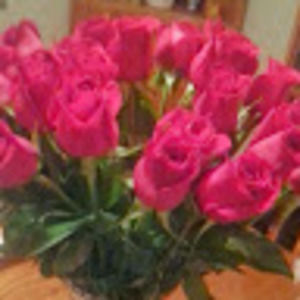 Meet your Posher, Renee